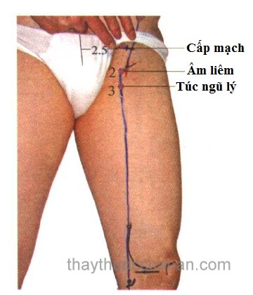 Vị trí huyệt cấp mạch