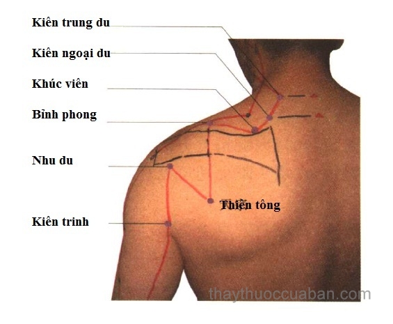 Vị trí huyệt bỉnh phong