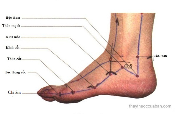 Vị trí huyệt kinh môn