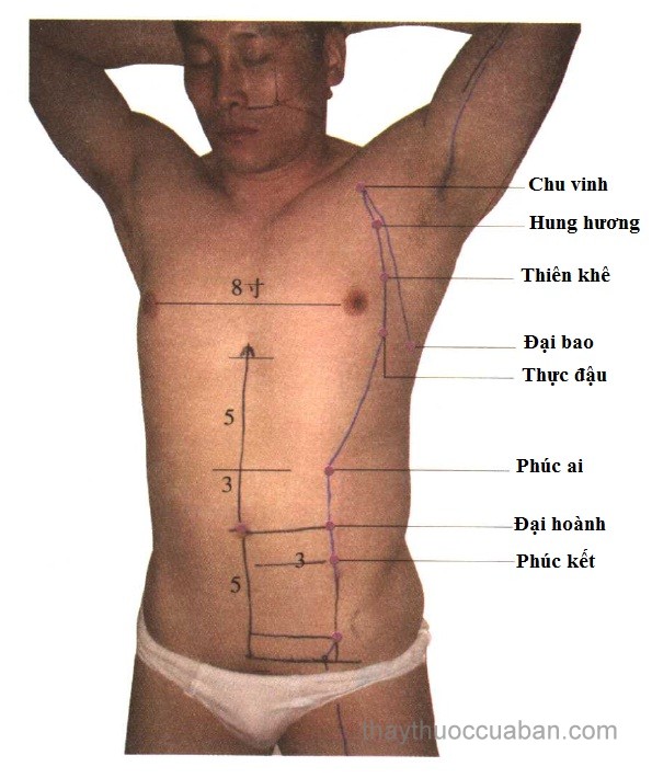 Vị trí huyệt phúc kết