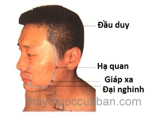 Vị trí huyệt đại nghinh
