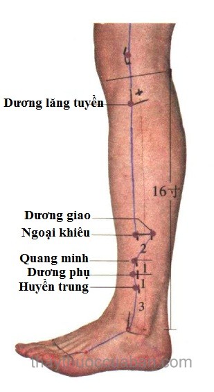 Vị trí huyệt quang minh