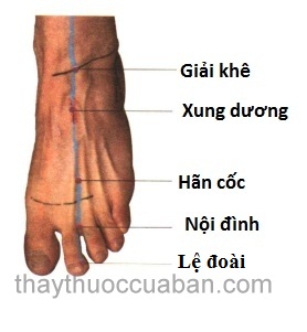 Vị trí huyệt hãm cốc