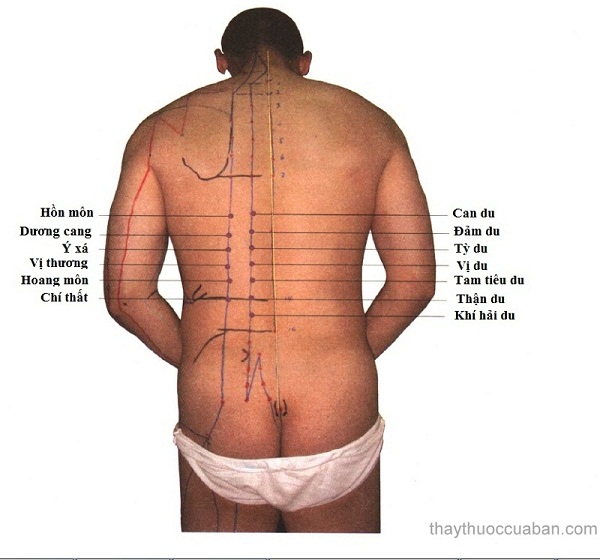 Vị trí huyệt hoang môn