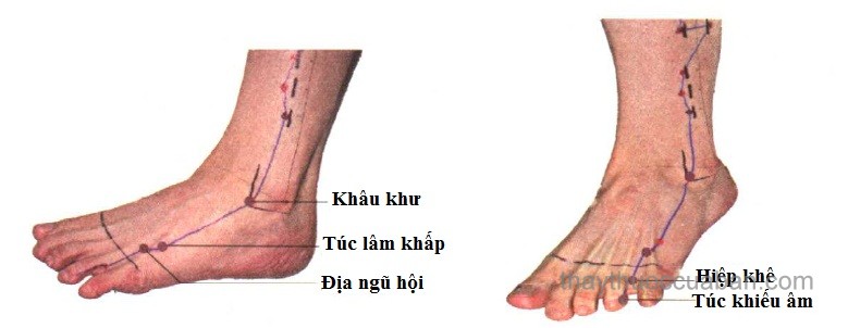 Vị trí huyệt khâu khư