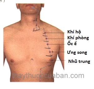 Vị trí huyệt nhũ trung
