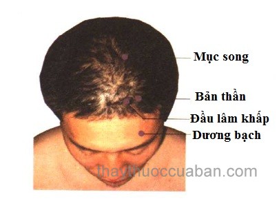 Vị trí huyệt Mục song