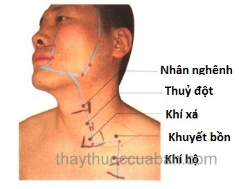 Vị trí huyệt nhân nghênh