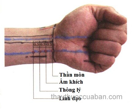 Vị trí huyệt Linh đạo