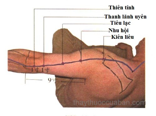Vị trí huyệt Kiên liêu