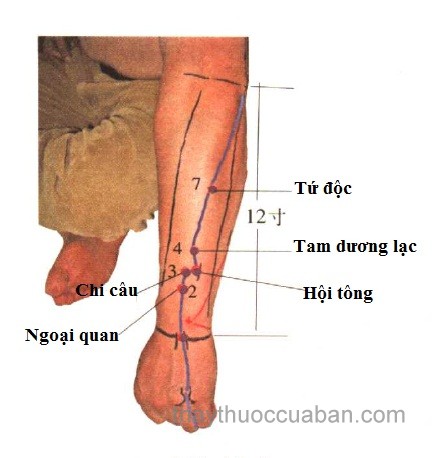Vị trí huyệt Hội tông