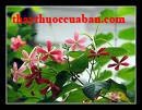 Sử quân tử, quả giun, su quan tu, Bịnh cam tử, Đông quân tử (Trung Dược Tài Thủ Sách), Lựu cầu tử (Tây Phương Bản Thảo Thuật), Ngũ lăng tử (Dược Tài Tư Khoa Hối Biên), Quả Giun, Quả Nấc (Dược Điển Việt Nam), Sách tử quả (Nam Đình Thị Dược Vật Chí), Sử quân nhục (Đông Dược Học Thiết Yếu)