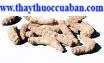 Hirudo seu Whitmaniae ,Leech (thuỷ điệt) ,Whimania pigra (Whitman).