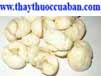 xuyên bối mẫu, xuyen boi mau,  Bulbus fritillariae cirrhosae 