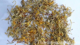 Hình ảnh vị thuốc kim ngân hoa tiêu chuẩn quốc tế