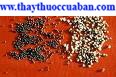 Vương bất lưu hành, vuong bat luu hanh, vuongbatluuhanh