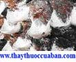 yên thái, yen thai, Collocalia- vũ yến Apodidae,Hải yến, huyền điểu, du hà ưu điểu, yến oa, yến thái, quan yến, kim ty yến
