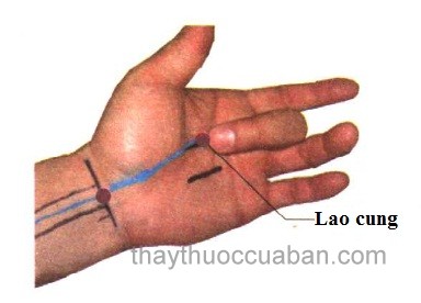 Vị trí huyệt Lao cung