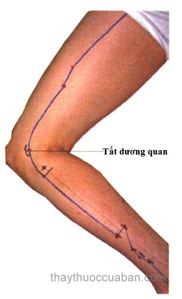 Vị trí huyệt Tất dương quan