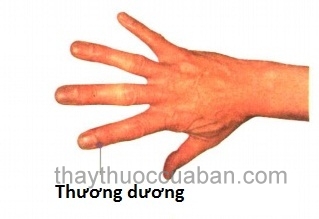 Xác định huyệt vị thương dương