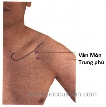 Vị trí huyệt trung phủ