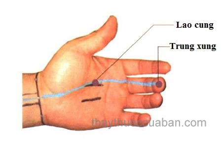 Vị trí huyệt Trung xung