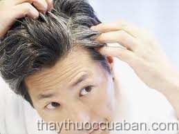 Râu tóc bạc sớm