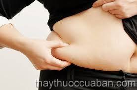 Đông y chữa tăng mỡ thành bụng