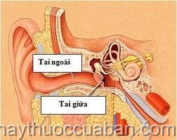 Đông y điều trị bệnh viêm tai giữa