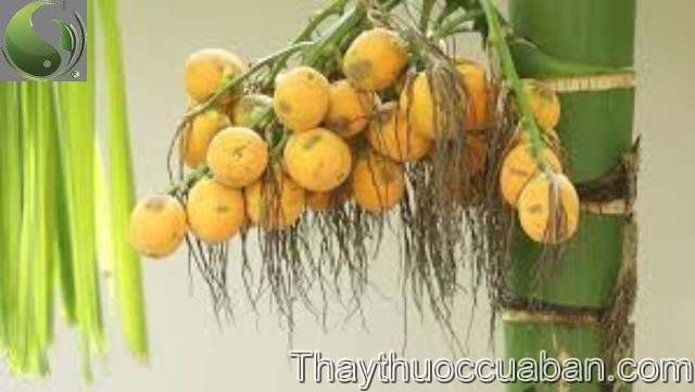 Đại ph&uacute;c b&igrave;