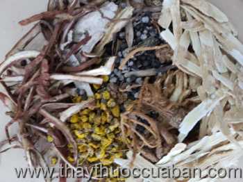 Đông y chữa bệnh bướu cổ