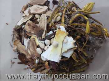 Đông y chữa bệnh chậm kinh