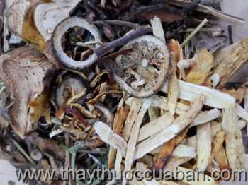 Đông y chữa đau thần kinh tọa