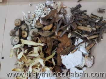 Đông y chữa tâm thần phân liệt