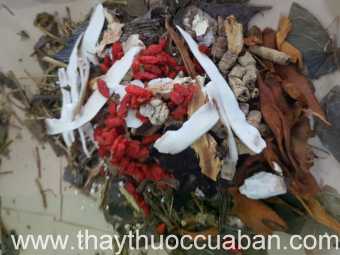 Đông y chữa tràn dịch màng phổi