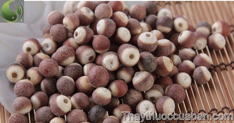 H&igrave;nh ảnh vị thuốc khiếm thực, khiếm thực