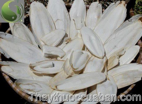 &Ocirc; tặc cốt