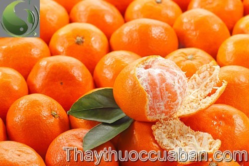 H&igrave;nh ảnh quả qu&yacute;t, qu&yacute;t