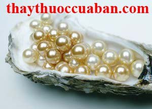 Tr&acirc;n ch&acirc;u vi thuốc chữa sung huyết