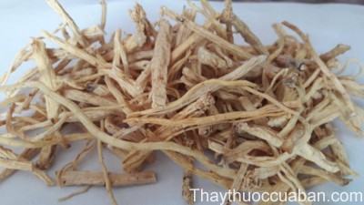 H&igrave;nh ảnh vị thuốc đẳng s&acirc;m đ&atilde; b&agrave;o chế