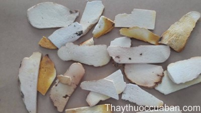 vị thuốc Hoài sơn