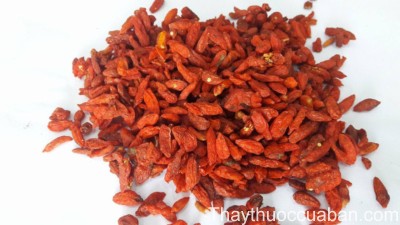 Kỷ tử, vị thuốc kỷ tử