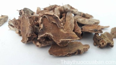 Vị thuốc nga truật