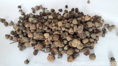 H&igrave;nh ảnh ph&uacute;c bồn tử