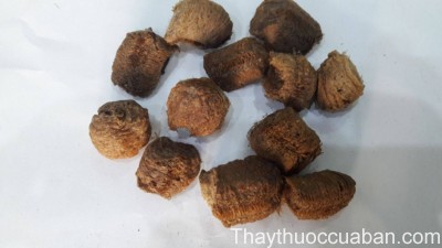 Hình ảnh Tang phiêu tiêu