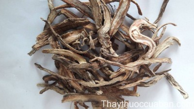 H&igrave;nh ảnh vị thuốc tục đoạn