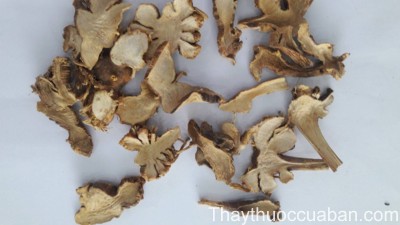 H&igrave;nh ảnh vị thuốc xạ can