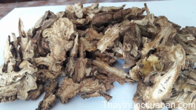 H&igrave;nh ảnh vị thuốc xuy&ecirc;n khung