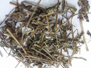 H&igrave;nh ảnh vị thuốc bạc h&agrave;