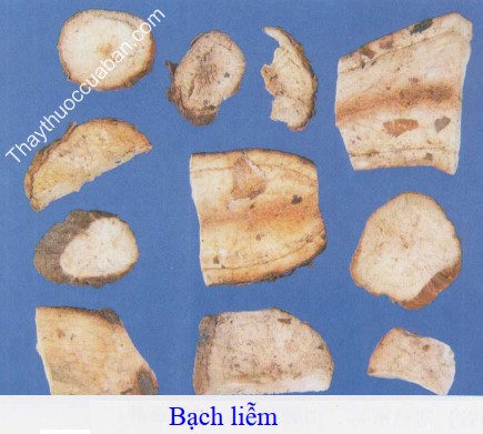 H&igrave;nh ảnh vị thuốc bạch liễm